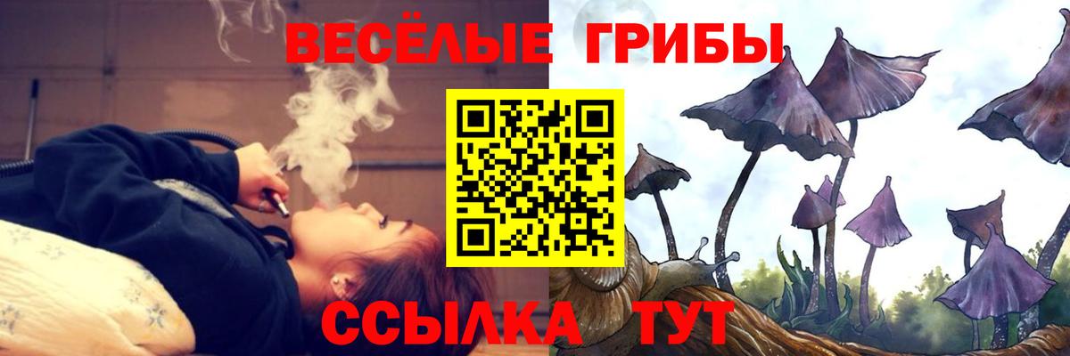 Галлюциногенные грибы Psilocybe Фурманов